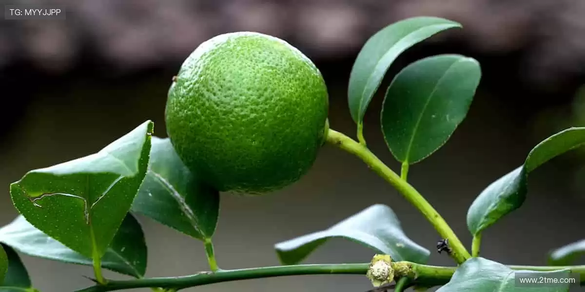 🚀⚾️ 赛事巅峰，热血沸腾！